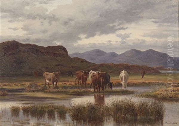 Cattle Grazing By A River Bank - view 1