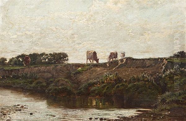 Cattle On A Riverbank - view 1