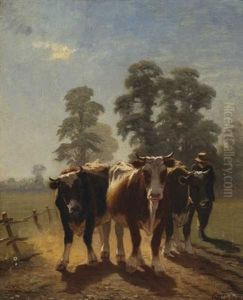 Cattle Driver by Augustus Nicolas Burke
