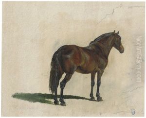 Stehendes Pferd Von Hinten by Heinrich Buerkel