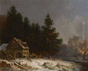 Wildfutterung Im Winter