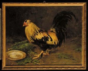 Gallo by Leopoldo Burlando