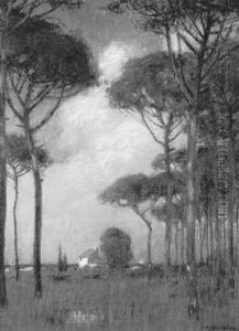 Cottage In The Clearing By The Sea
