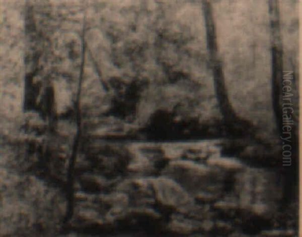 New York Woodland Landscape - view 1