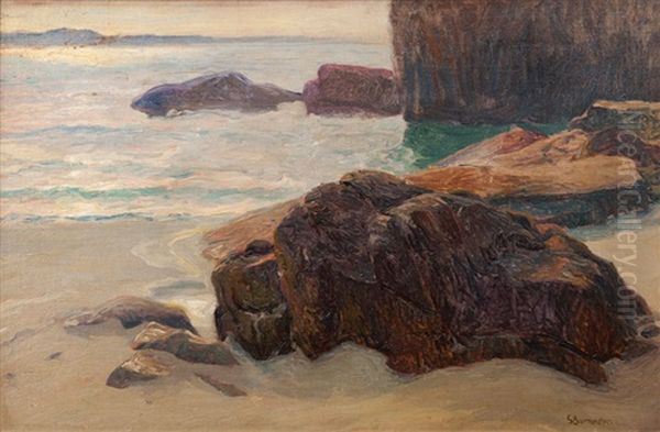 Rocky Coast - view 1