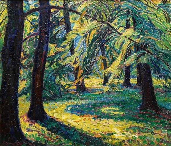 Sunlit Forest Clearing - view 1