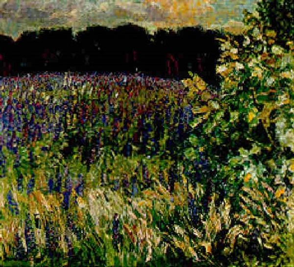Bluhendes Lupinenfeld - view 1
