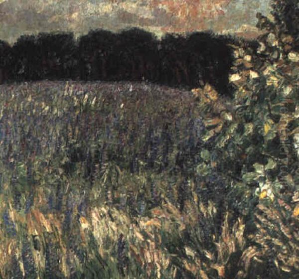 Bluhendes Lupinenfeld - view 1
