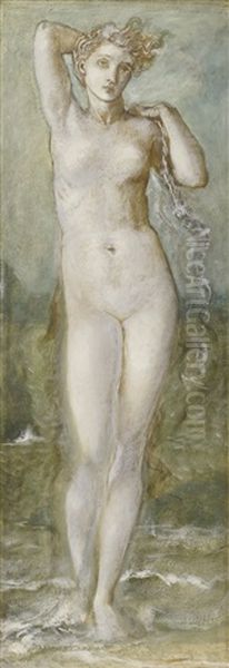 Venus Rising From The Sea - view 1