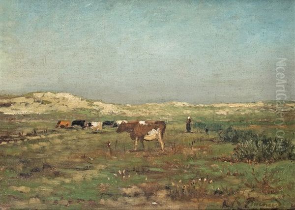 Dune Landscape - view 1