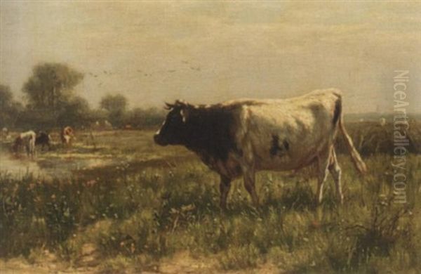Vieh Auf Der Weide - view 1