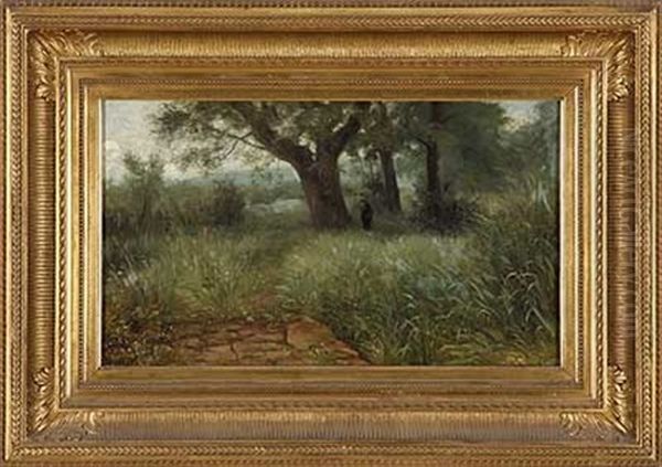 Spazierganger In Verwildertem Park - view 1