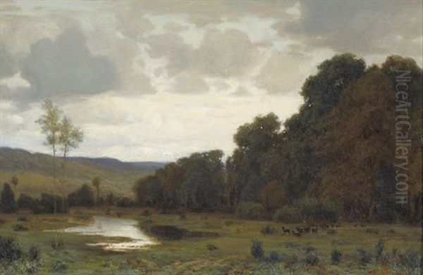 Waldrand Mit Rehrudel - view 1
