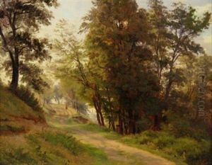 Spaziergang. Waldweg Mit Einsamem Flaneur