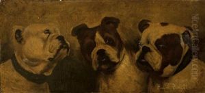 Bulldogs by Pauline Powell Burns