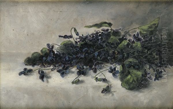 Violets - view 1