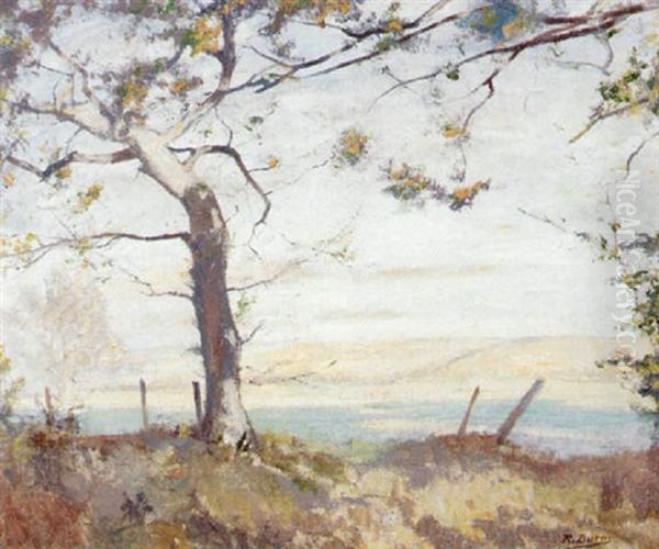 The Lammermuirs From Bankhead Humbie - view 1