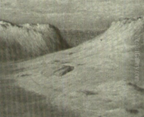 In The Dunes - view 1