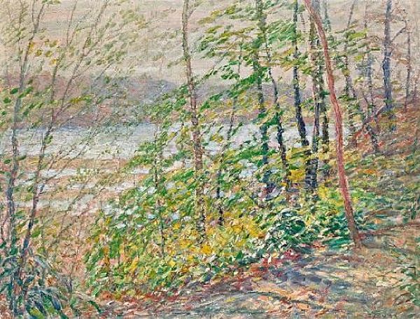 The Spring Woods By The Connecticut River - view 1