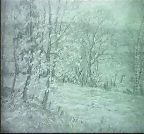 Tooder's Farm Near Damos Hill - view 1