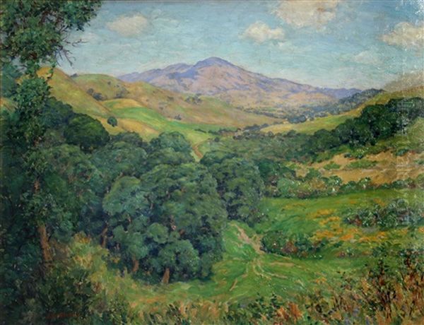 The Valley And Mount Diablo - view 1