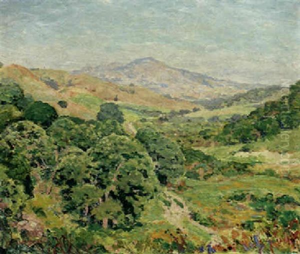 The Marin Hills - view 1