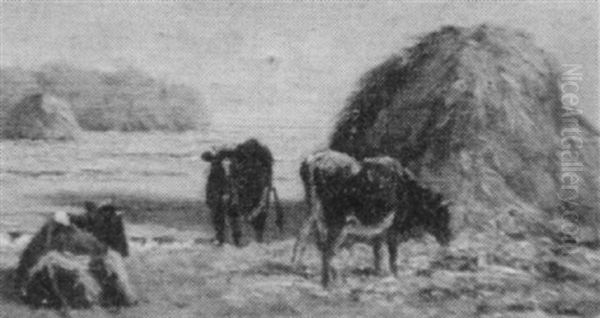 Cattle By A Haystack - view 1