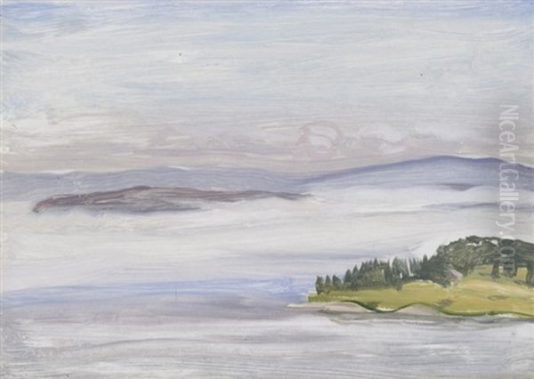 A View In Maine - view 1