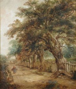 View Of Bolton Lane, Ipswich