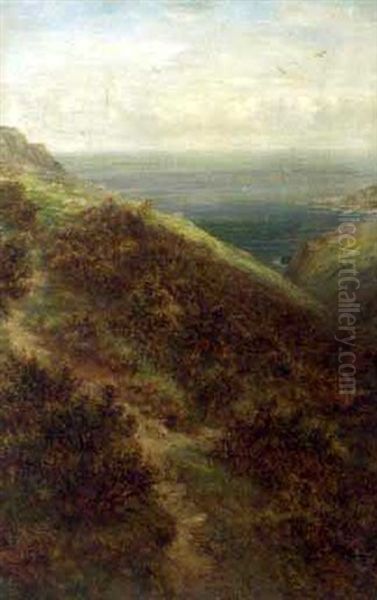Gulls Over A Coastal Landscape - view 1