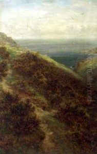 Gulls Over A Coastal Landscape
