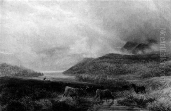Panoramic View With Cattle Watering - view 1