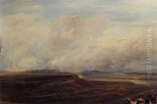 Landscape With Sheep - view 1