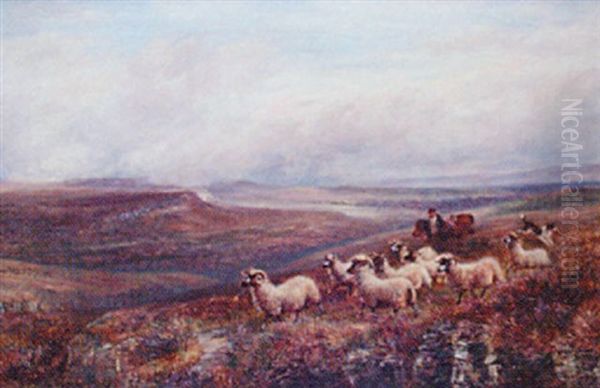 Driving Sheep - view 1