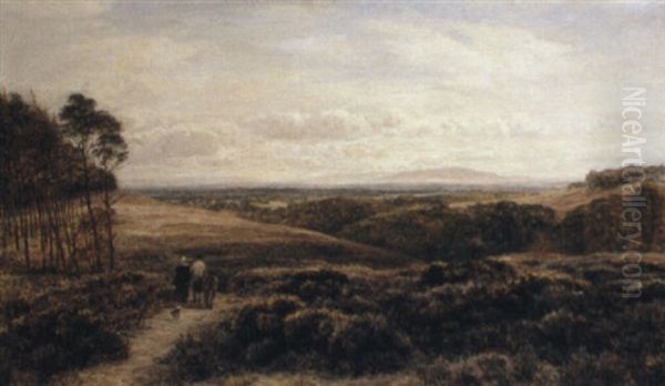 Walking On The Heath - view 1