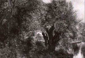 Fly Fisherman In Landscape by Charles Thomas Burt