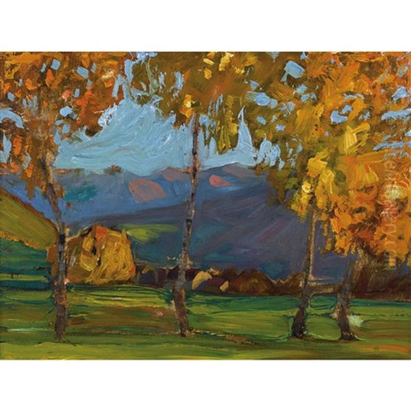 Sorengo In Autunno - view 1