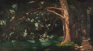 Alte Platane by Ettore Burzi