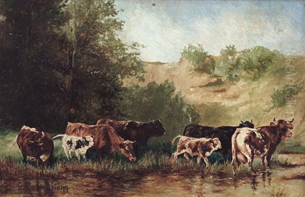 Pascolo - view 1