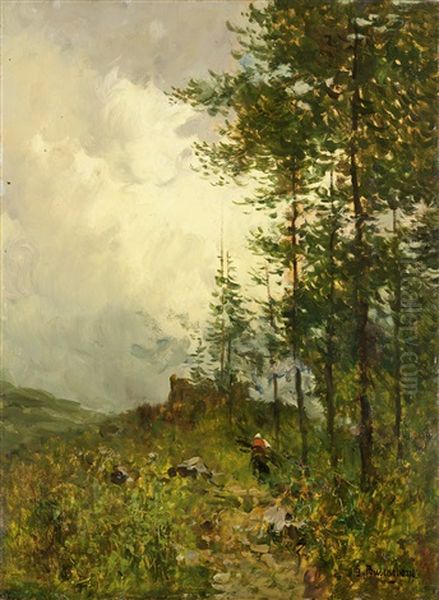 Pineta - view 1