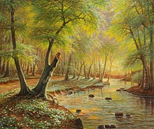 Spring Forest With Stream - view 1