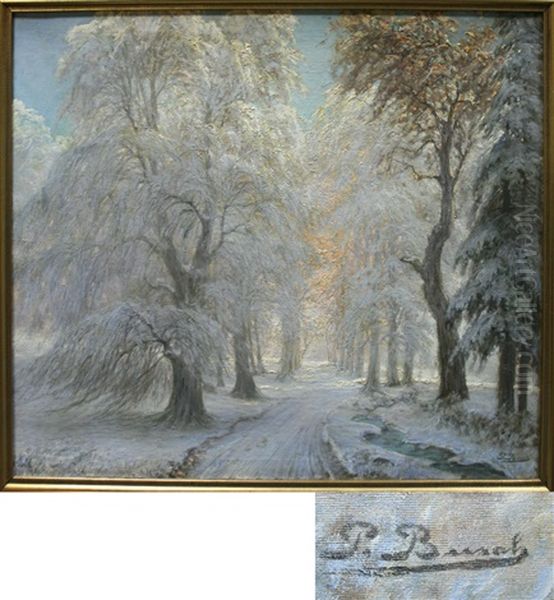 Winter Forest - view 1