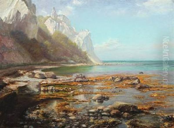 Scenery From Mons Klint - view 1