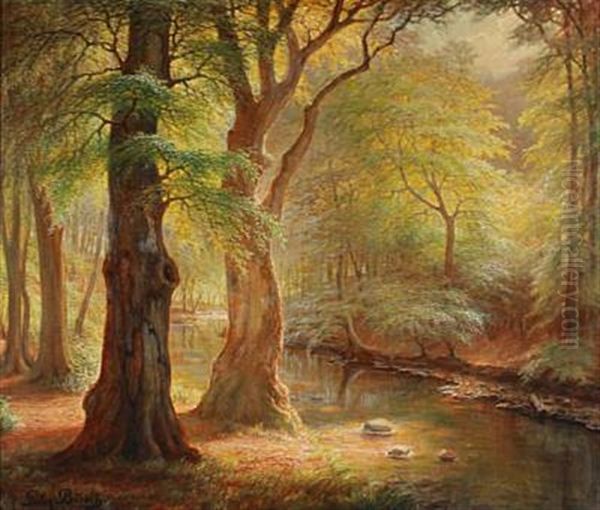 Stream In The Woods - view 1