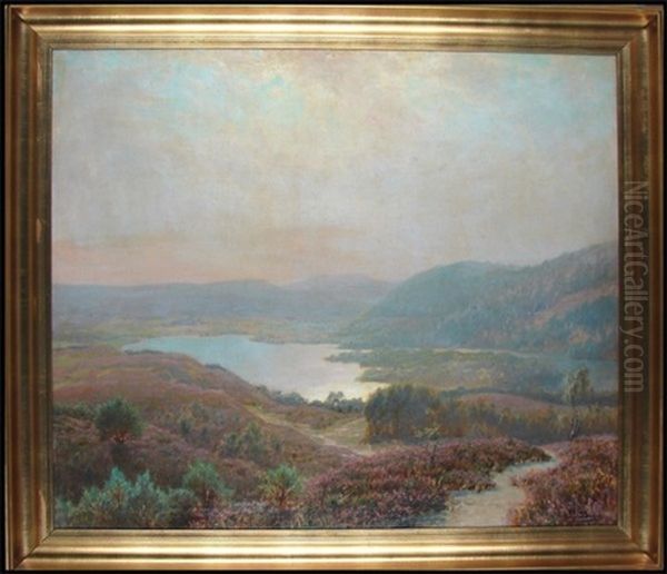 Landscape - view 1