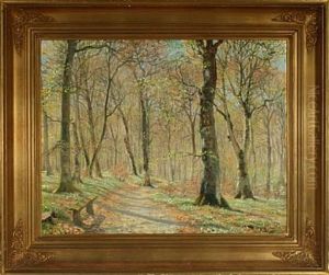 Woodland Scenery With Beeches And Anemones by Peter Johan Valdemar Busch