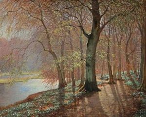 Forest With Path Along A Lake Forest With Path Along A Lake