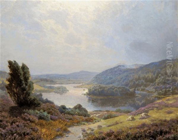 Eine Heidelandschaft - view 1