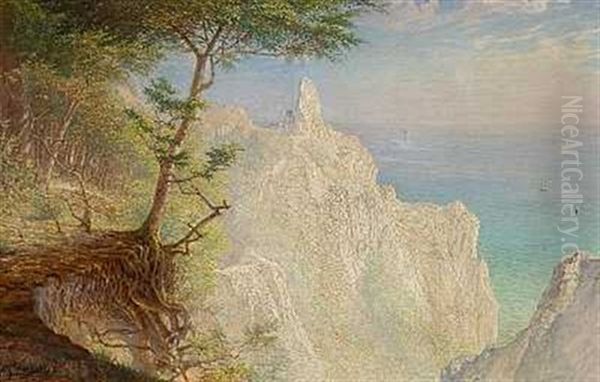 Parti Fra Moens Klint - view 1
