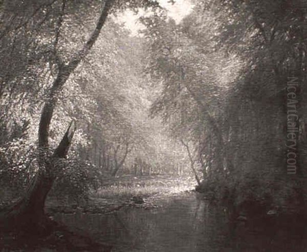 Sunlit Forest Stream - view 1